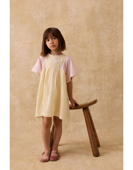 Aurora Dress Pink & Yellow 2