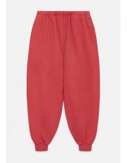 Cute Dog Red Pants 3
