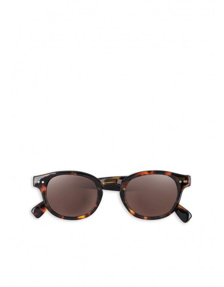 Sunglasses Junior Brown Tortoise 3