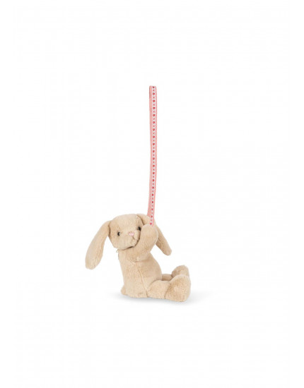 Teddy Bag Bunny