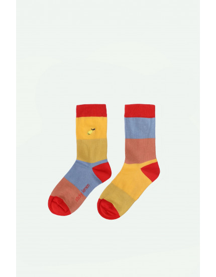 Socks Lemon Tree Stripes
