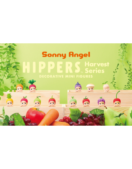 HIPPERS - Harvest Series One Size