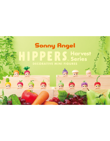HIPPERS - Harvest Series One Size