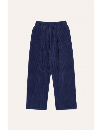 Штани Blue Corduroy