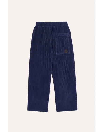 Штани Blue Corduroy 2