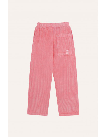 Штани Pink Corduroy 2