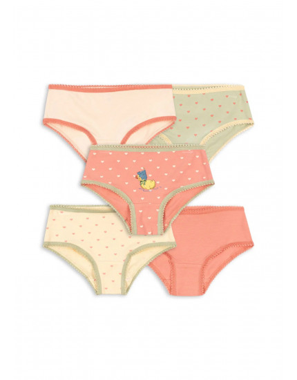 Basic 5 Pack Girl Underpants girl mix pack