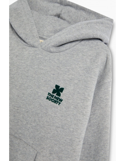 Худі TNS Logo Mid Grey Melange 4