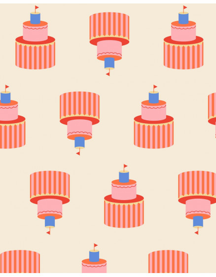Подарункові пакети Party Cake  2