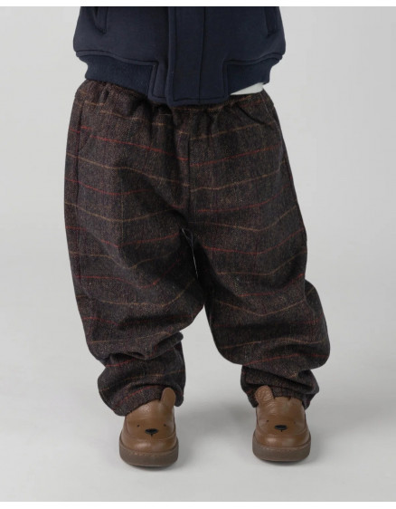 Штани Elias Brown Blue Checked 3