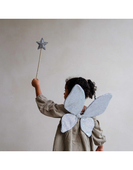 Sparkle Sequin Wings Silver 4