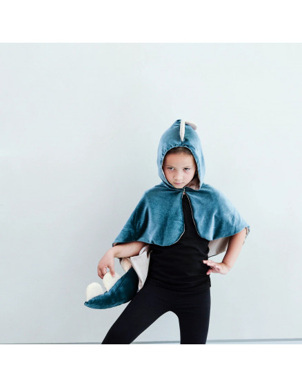 Friendly dino cape 4