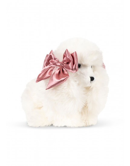 Spitz Puppy Beige