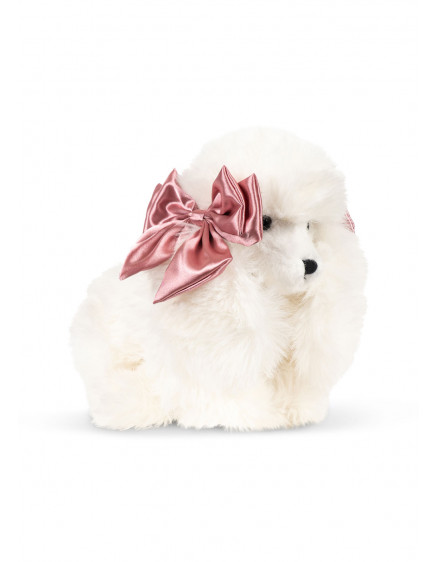 Spitz Puppy Beige