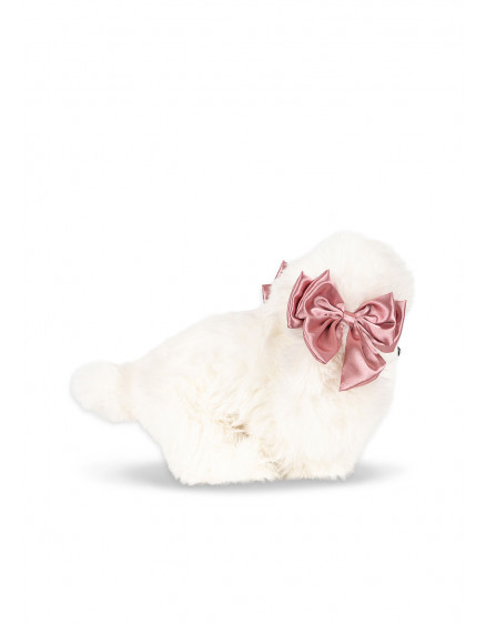 Spitz Puppy Beige 2