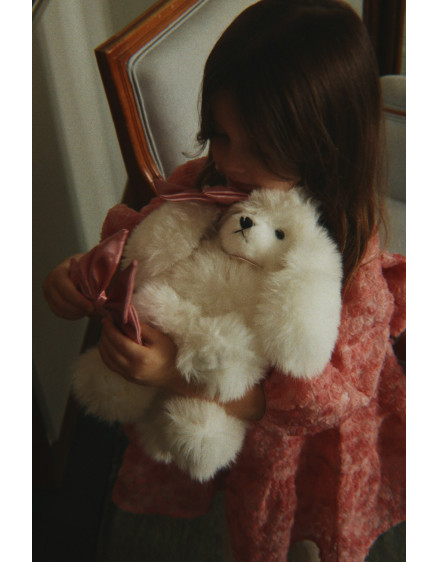 Spitz Puppy Beige 5