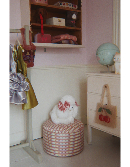 Spitz Puppy Beige 6