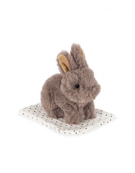 Take Care Of Me Bunny 2