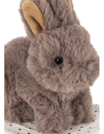Take Care Of Me Bunny 4