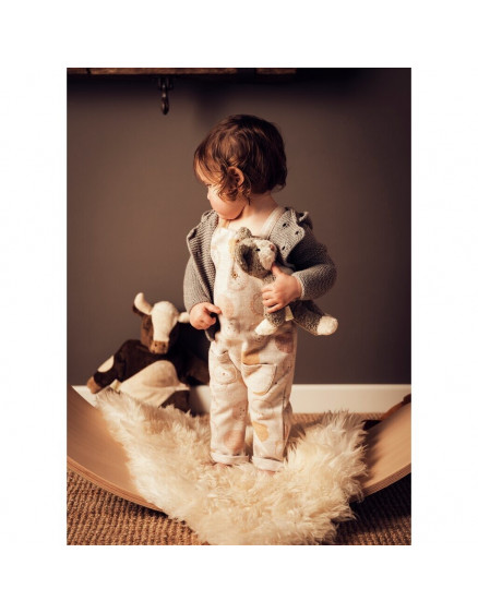 Animal Baby Cat 3