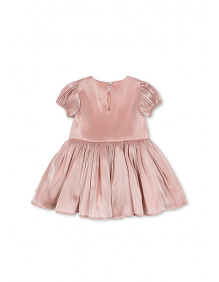 Сукня Fia Silver Pink 2