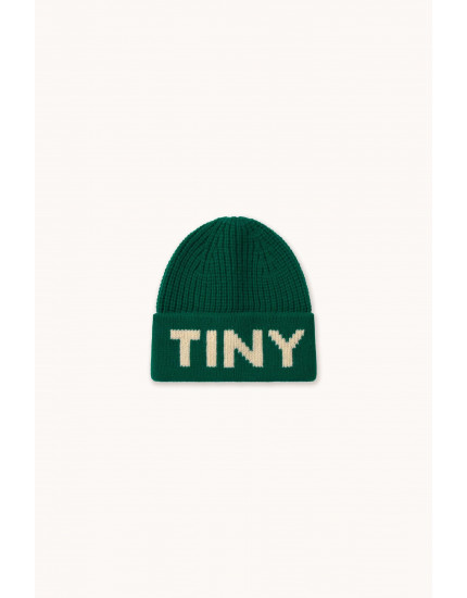 Шапка Tiny Beanie Green Kids