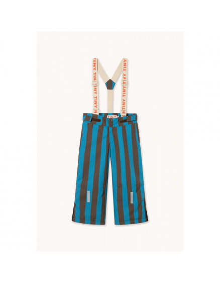 Зимовий костюм Blue Stripes Cyan 3