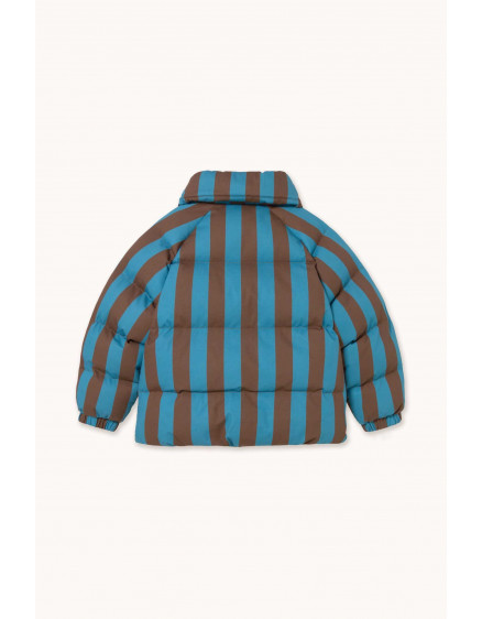 Blue Cacao Stripes Jacket Cayn 2
