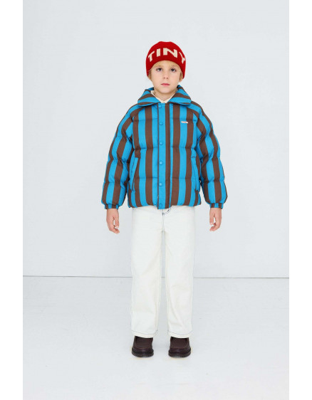 Blue Cacao Stripes Jacket Cayn 4