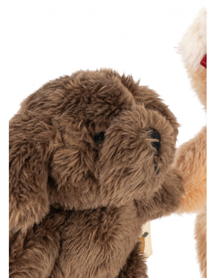 Tiny Teddy Best Friends Green Stripe 7