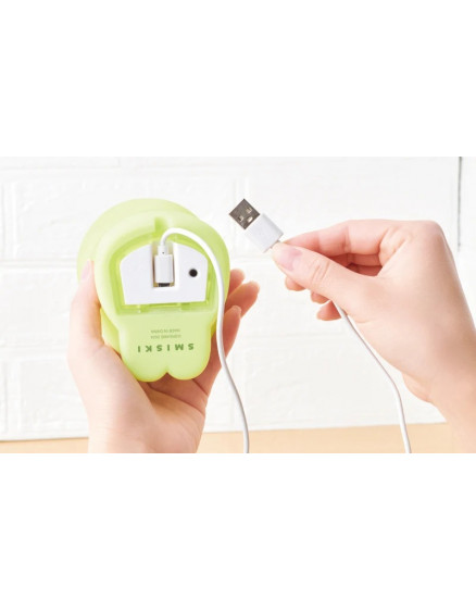 Лампа SMISKI Touch Light 4