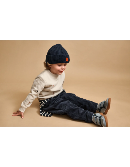 Штани Borris Classic Navy 4