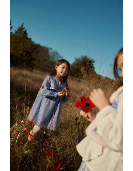 Сукня Hyacinthe Light Blue 3