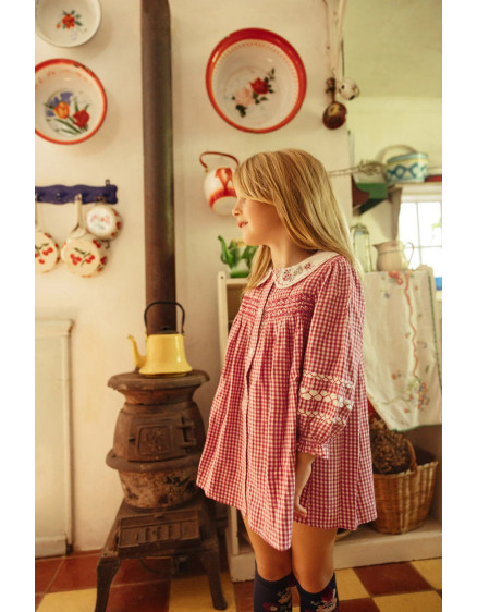 Сукня Delina Raspberry Checks 4