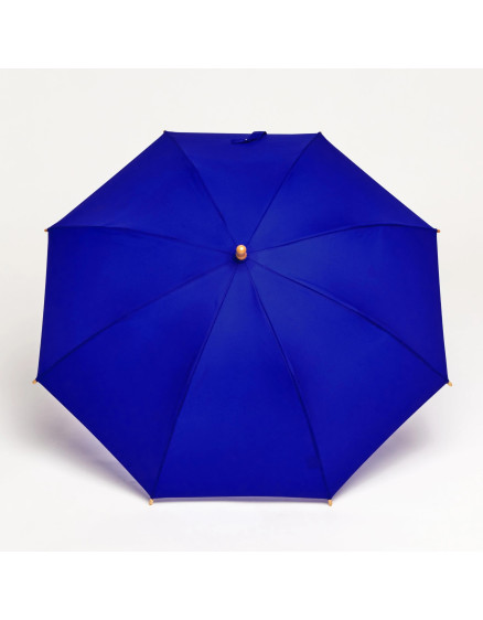 Парасолька Cobalt Blue Duckling 5