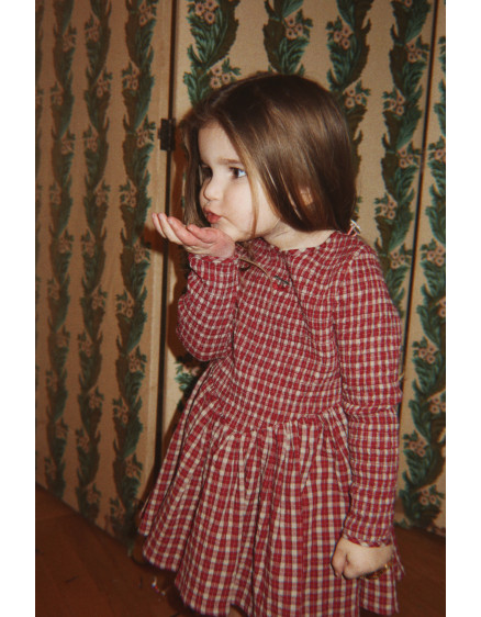 Сукня Elin Smock Brick Check 7