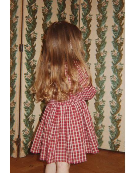 Сукня Elin Smock Brick Check 8