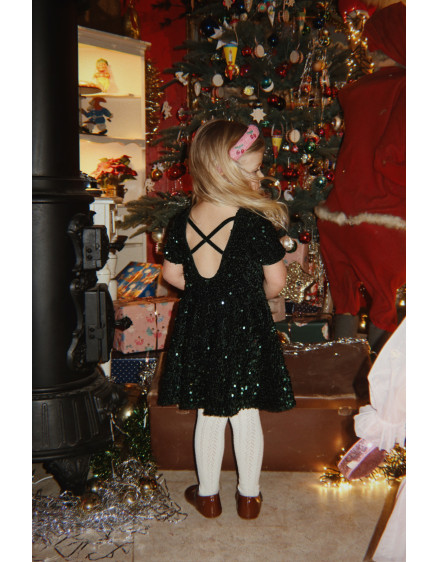 Tamira Ballerina Dress Scarab 8